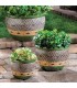 Decorative Cobalt Ceramic Gardening Planters/Green